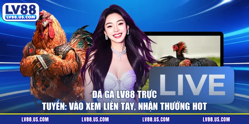 Đá Gà LV88 Trực Tuyến: Vào Xem Liền Tay, Nhận Thưởng Hot